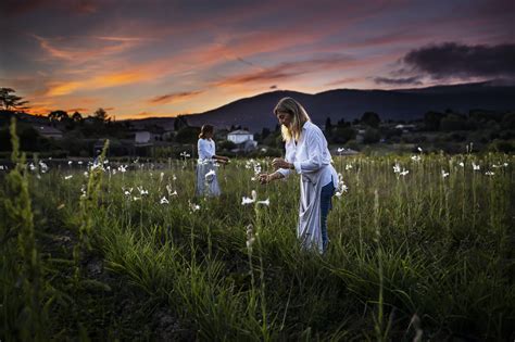 Dior sustainability initiative